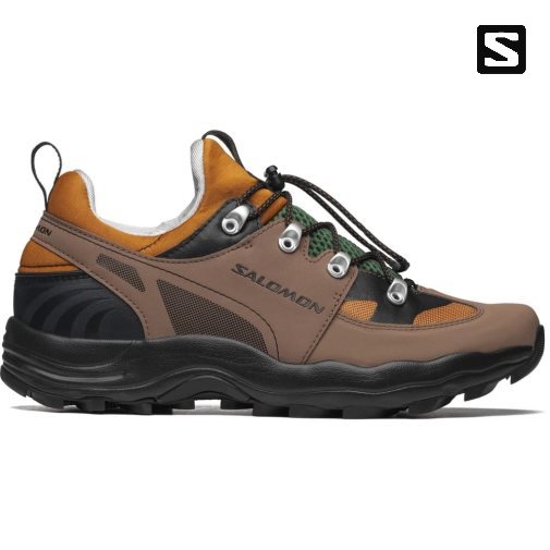 Brown Salomon Raid Wind 75th Men's Sneakers | PH 14238K